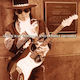 Stevie Ray Vaughan - Live At Carnegie Hall 2xLP Βινύλιο