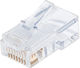 Techly Stecker RJ-45 männlich 100Stück Transparent (028900)