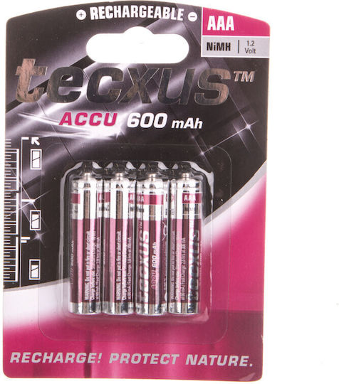 Tecxus Wiederaufladbare Batterien AAA Ni-MH 600mAh 1.2V 4Stück