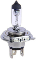 Michelin Lamp H4 Halogen