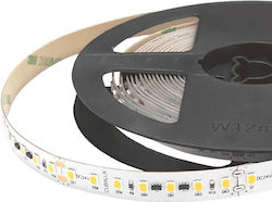 Cubalux LED Strip 24V Warm White Light 5m