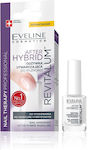 Eveline Nail Treatment 12ml