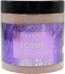 Body Scrubs & Exfoliators