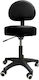 Medicin Medical Stool with Backrest Black FM004-1