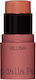 Diego Dalla Palma All In One Stick Blush 42 - Salmone 4gr