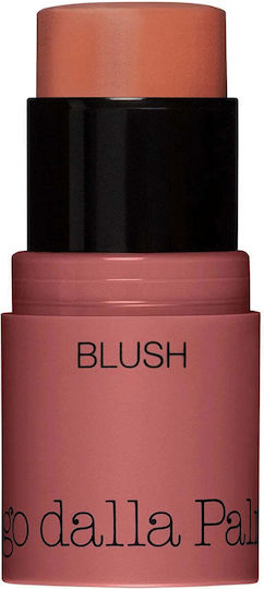 Diego Dalla Palma All In One Stick Blush 42 - Salmone 4gr