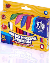Astra Γκρι 12τμχ