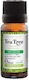 Steaua Divina Αιθέριο Έλαιο Tea Tree 10ml
