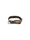 K9 Thorn Dog Collar in Brown color 40mm x 10cm