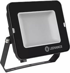 Ledvance Floodlights 50W Waterproof 4000K