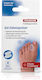 Pedibaehr Διαχωριστικά με Gel για τους Κάλους Medium 4τμχ