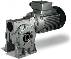 Gear Motor