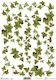 Next Ivy Ριζόχαρτα Decoupage 3τμχ
