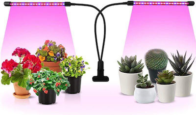 Desk Grow Light with LED