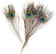 Next Craft Feathers Brown Set of 6pcs