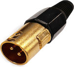 XLR male Connector 1pc