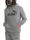 Puma Big Logo Men's Sweatshirt with Hood & Pockets Gray