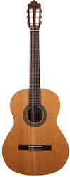 Prodipe Recital Classical Guitar