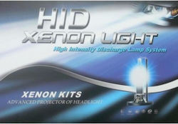 Beltec Audio Car Xenon Kit H7 55W 12V