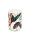 5Five Cupa ei Ceramică Multicoloră