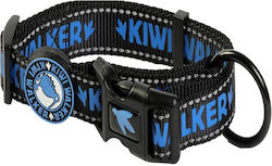 Kiwi Dog Collar in Blue Color Medium Kiwi Dog Collar in Blue Color Medium