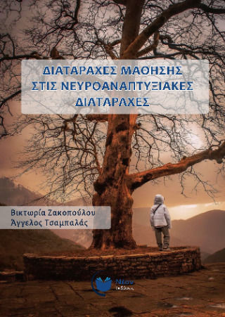 Διαταραχές Μάθησης Στις Νευροαναπτυξιακές Διαταραχές