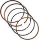 Aasa Motorcycle Piston Springs 52mm