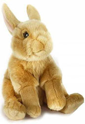 Jellycat Plush Bunny 25 cm.