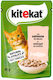 Kitekat Nassfutter für Erwachsene Katzen in Beutel mit Lachs 85gr