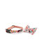 Loveboom Dog Collar Small