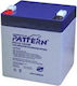 Pattern Battery PT5.0-12 UPS Batterie mit Kapaz...