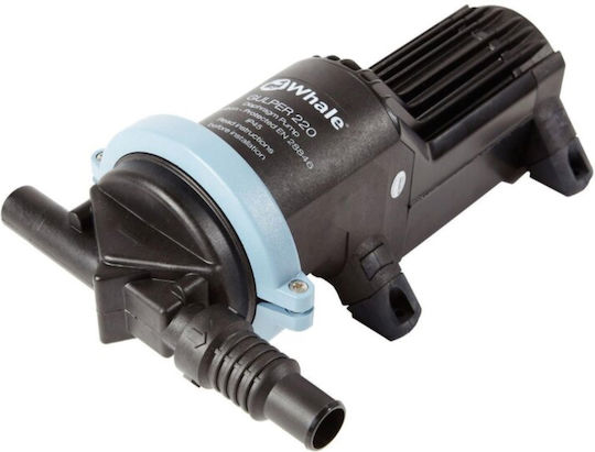 Whale Marine Pumpe Abwasser für Boot Gulper 12V