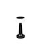 Darwin Dekorative Lampe Schwarz