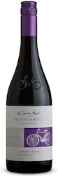 Cono Sur Winery Bicicleta Rot Trocken 750ml