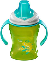 Vital Baby Εκπαιδευτικό Μπιμπερό για 6m+ 260ml Vital Baby Εκπαιδευτικό Μπιμπερό για 6m+ 260ml
