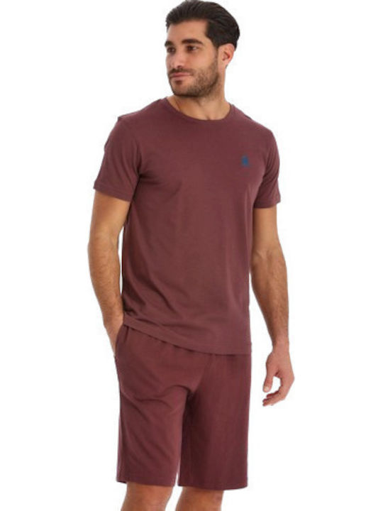 Admiral T-shirt Μπορντό