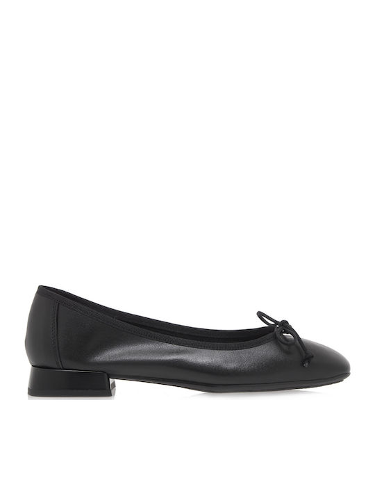 Desiree Shoes Desiree Shoes