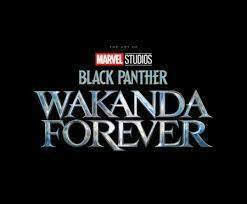 Marvel Studios Panther Wakanda Forever The Art Of The Movie