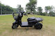 WheelnWater Storm Electric Tricycle Power 1500W...