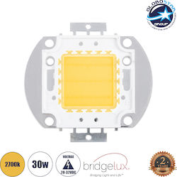 GloboStar LED Warm White 30W (73764)