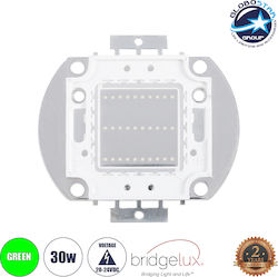 GloboStar LEDs 1 Stück 73770