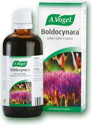 A.Vogel Tincture Boldocynara 50ml