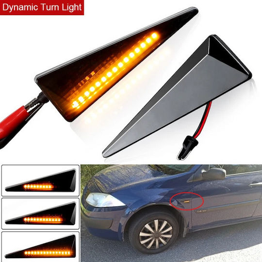 Carro Flash Lumini LED pentru Renault Paisaj / Spațiu / Megane 2buc