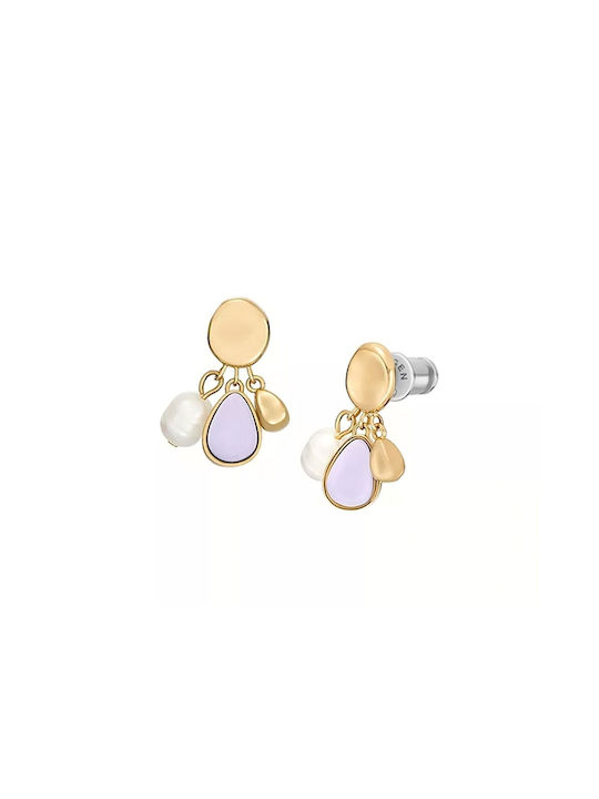 Skagen Earrings SKJ1716710