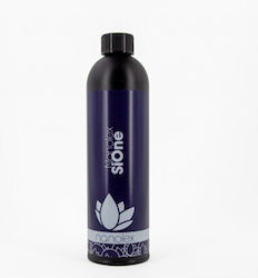 Nanolex Kleister Reinigung / Glänzen für Körper Sione 750ml