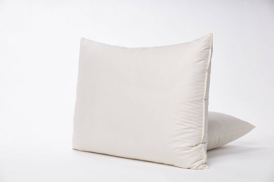 Valeria Home Pernă pentru copii 50x30buc