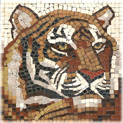 Alea Mosaic Diy Art Kit Square Ψηφιδωτό Με Αυθεντικές Ψηφίδες 15x15cm Tiger 203010 New