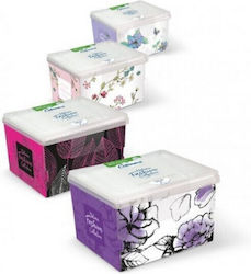 Cotoneve Cotton Buds 300 Pieces