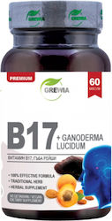 Grewia B17 + Ganoderma Lucidum 60 Капсули Grewia B17 + Ganoderma Lucidum 60 Капсули