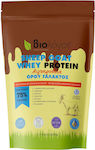 Βιολόγος Sheep Goat 75% Goat Whey Protein with Organic Banana Organic Whey Protein Gluten Free with Flavor Organic Banana 500gr